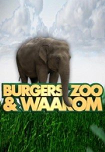 Burgers' Zoo en waarom